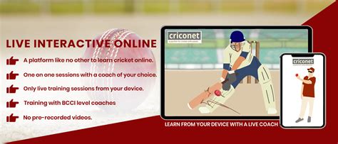 1exch net cricket sign up login|Cricket Training Online Session Program: Criconet.